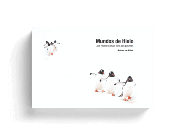 Libro MUNDOS DE HIELO (A. de Frías)