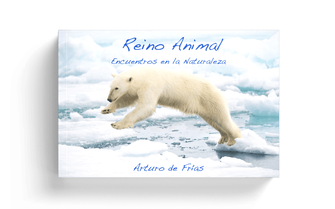 Libro de fotografía de vida salvaje: REINO ANIMAL (A. de Frías)