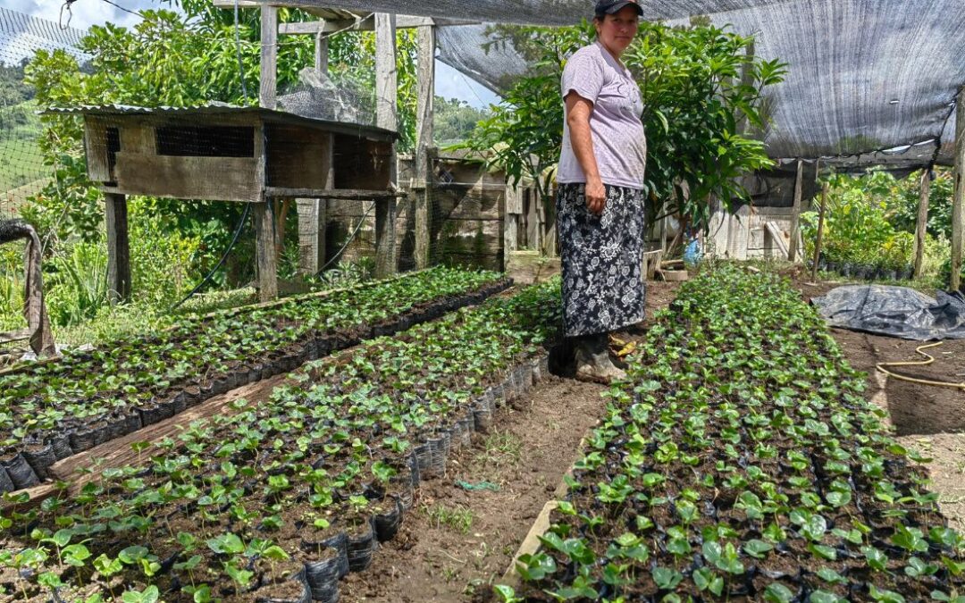 Agricultora de uno de los emprendimientos agrícolas de nuestro proyecto por la agricultura y el desarrollo rural en el Sur del Bolívar.