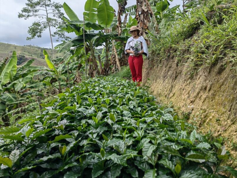 Agricultora de los emprendimientos agrícolas del Sur del Bolívar junto a su plantación.