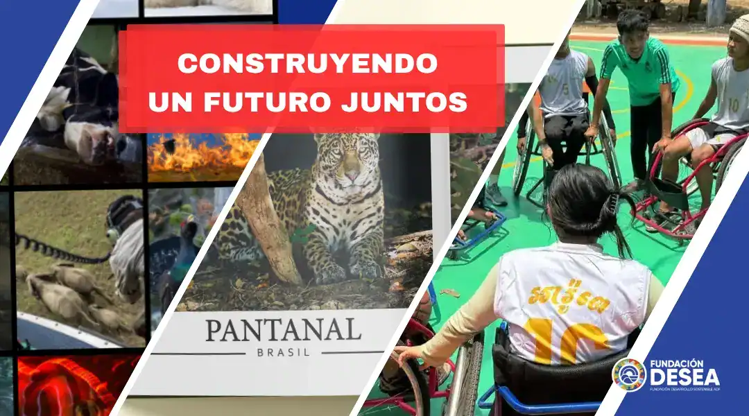 Construyendo un futuro más inclusivo y sostenible: novedades