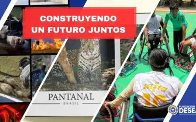 Construyendo un futuro más inclusivo y sostenible: novedades