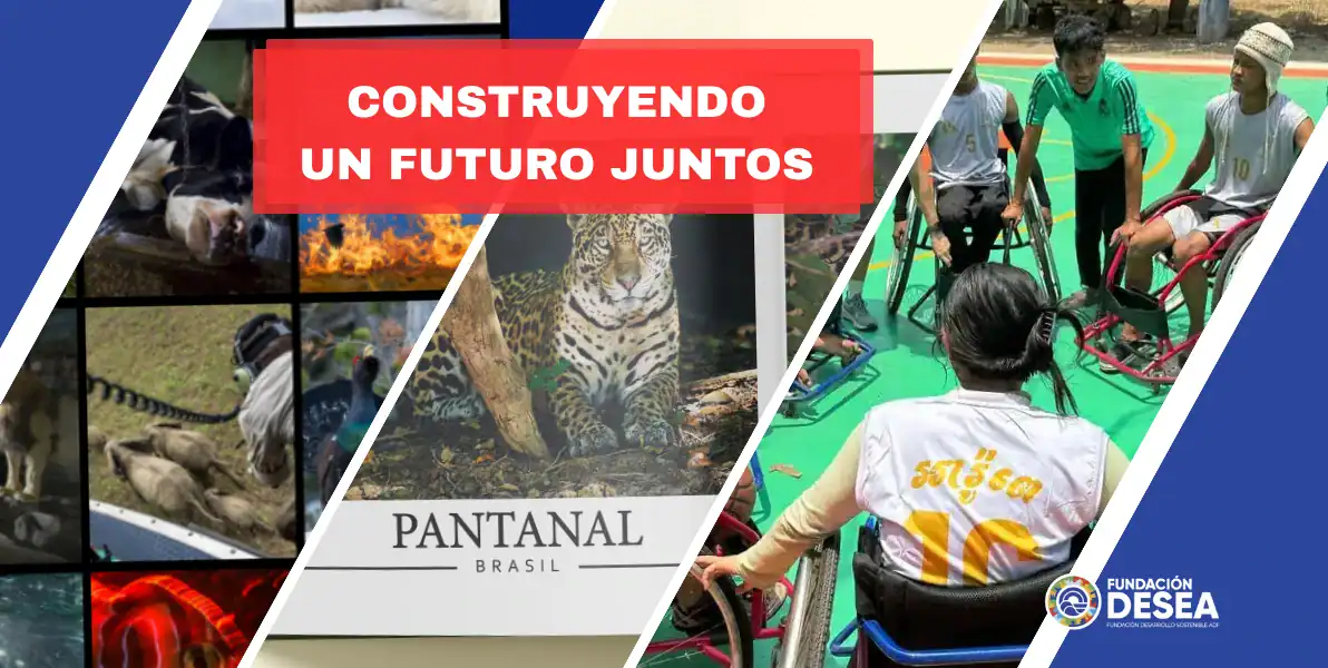 Seguimos construyendo un futuro juntos y os compartimos las últimas novedades de Nature and Humans, el libro de fotografía América, y el centro de acogida Arrupe en Camboya.