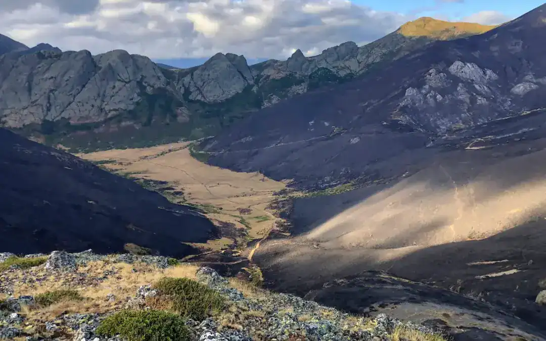 Proyecto de reforestación en Riaño: Juntos por la montaña de Riaño.