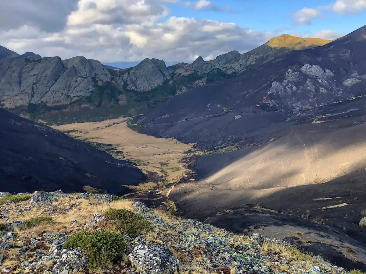 Proyecto de reforestación en Riaño: Juntos por la montaña de Riaño.