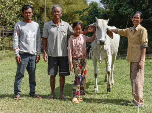 PROYECTO DESARROLLO RURAL EN CAMBOYA