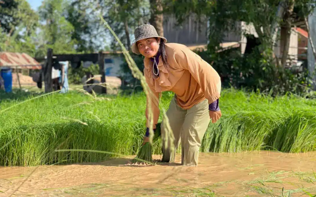 Proyecto de desarrollo rural en Camboya