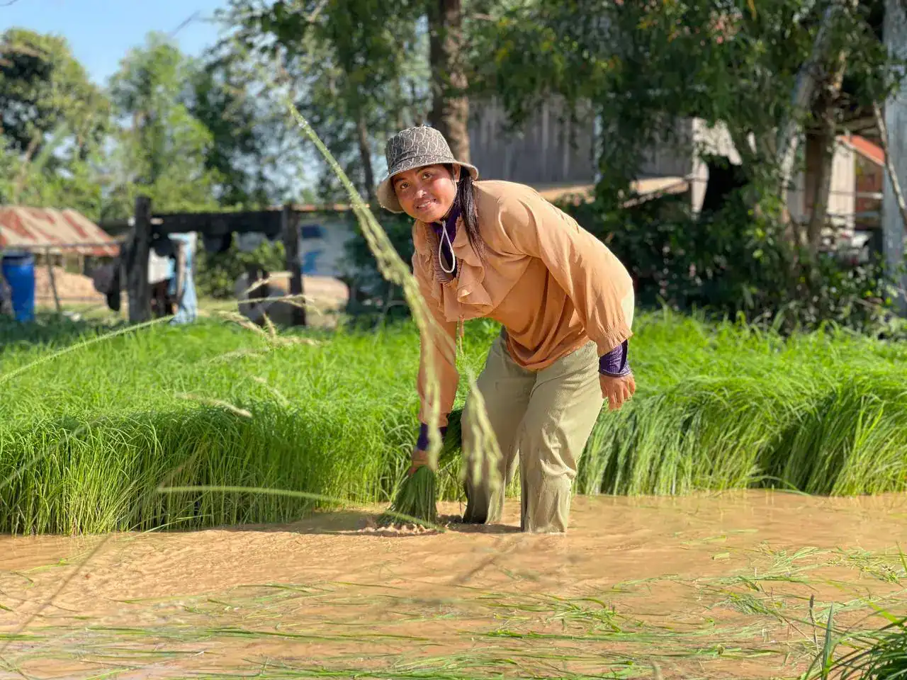 Proyecto de desarrollo rural en Camboya