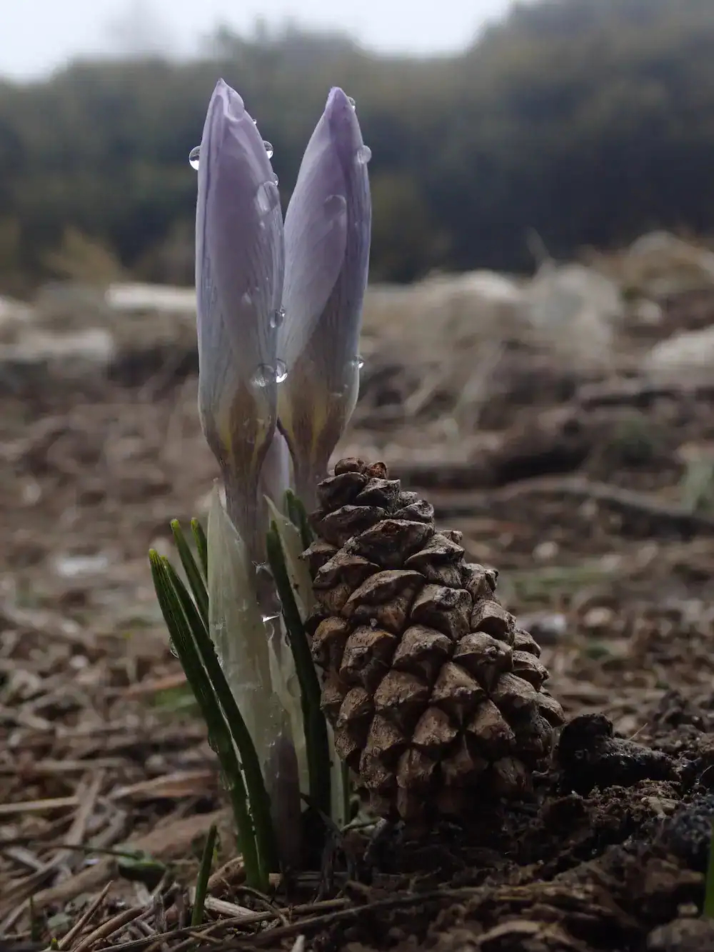 Fotografía en la naturaleza para fomentar el crecimiento personal. Los alumnos aprendieron diversas técnicas de fotografía.