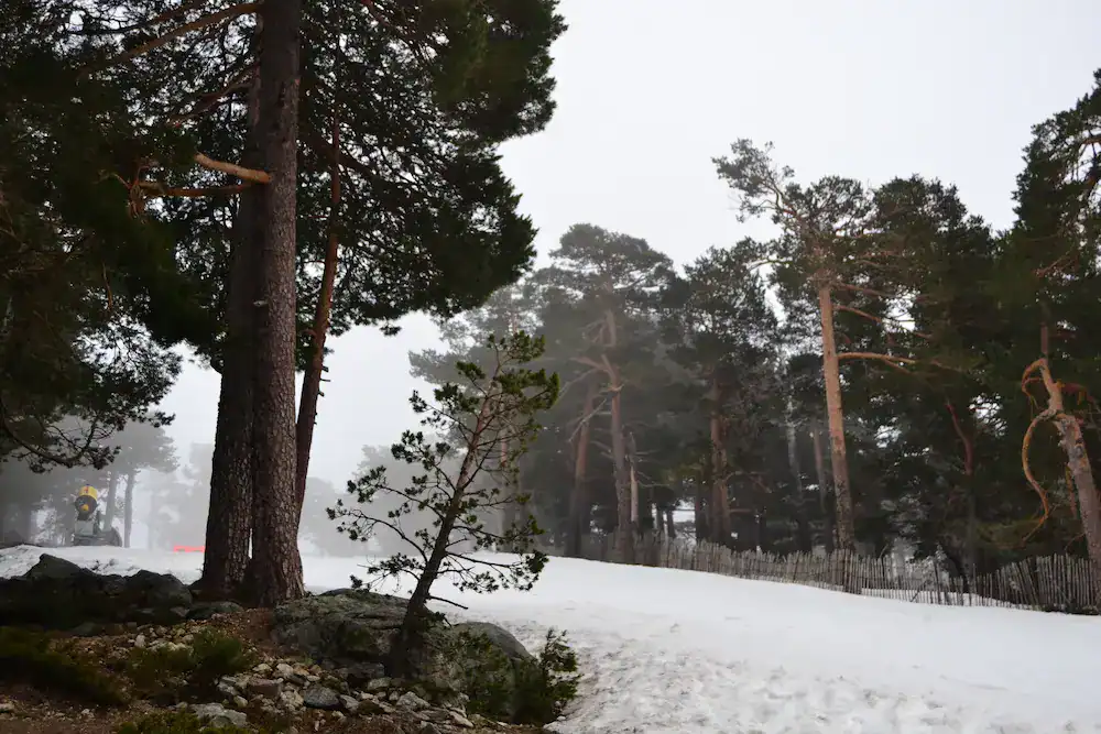 Fotografía en la naturaleza para fomentar el crecimiento personal. Los alumnos aprendieron diversas técnicas de fotografía.