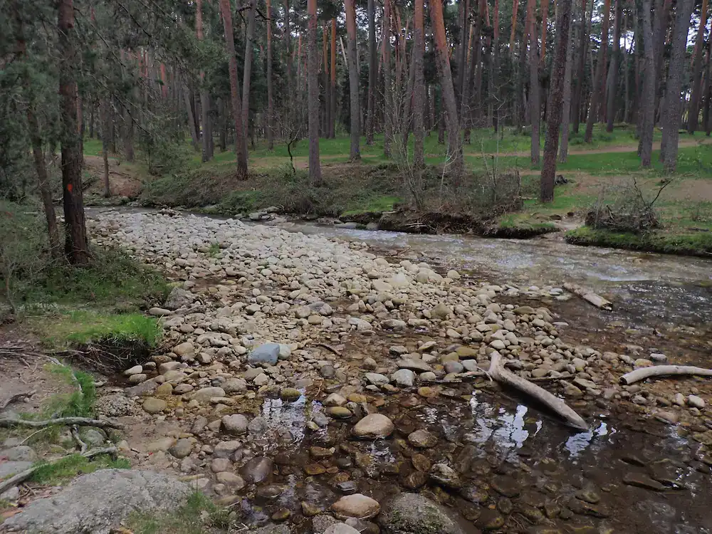 Imagen del río tomada durante la salida a Boca del Asno para aprender fotografía de forma práctica.