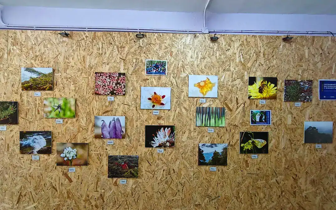 Exposición de fotografía, naturaleza y bienestar