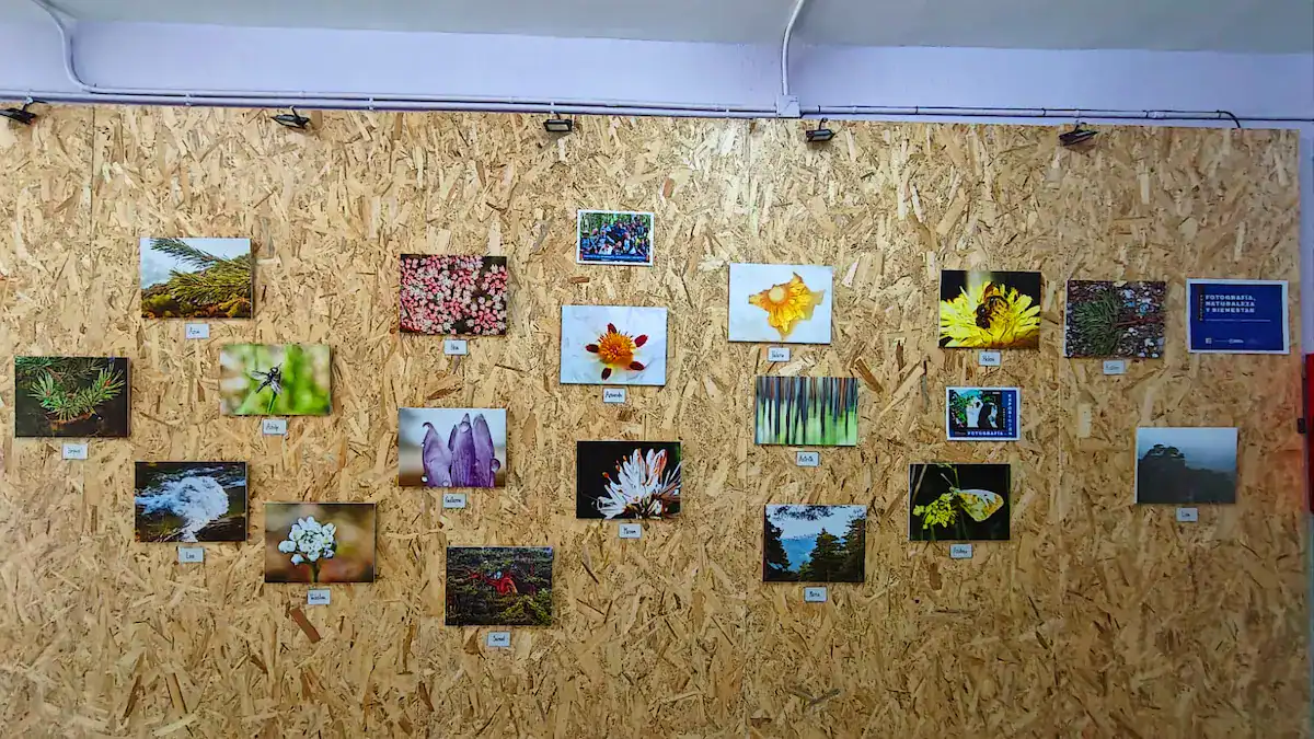 Exposición de fotografía, naturaleza y bienestar