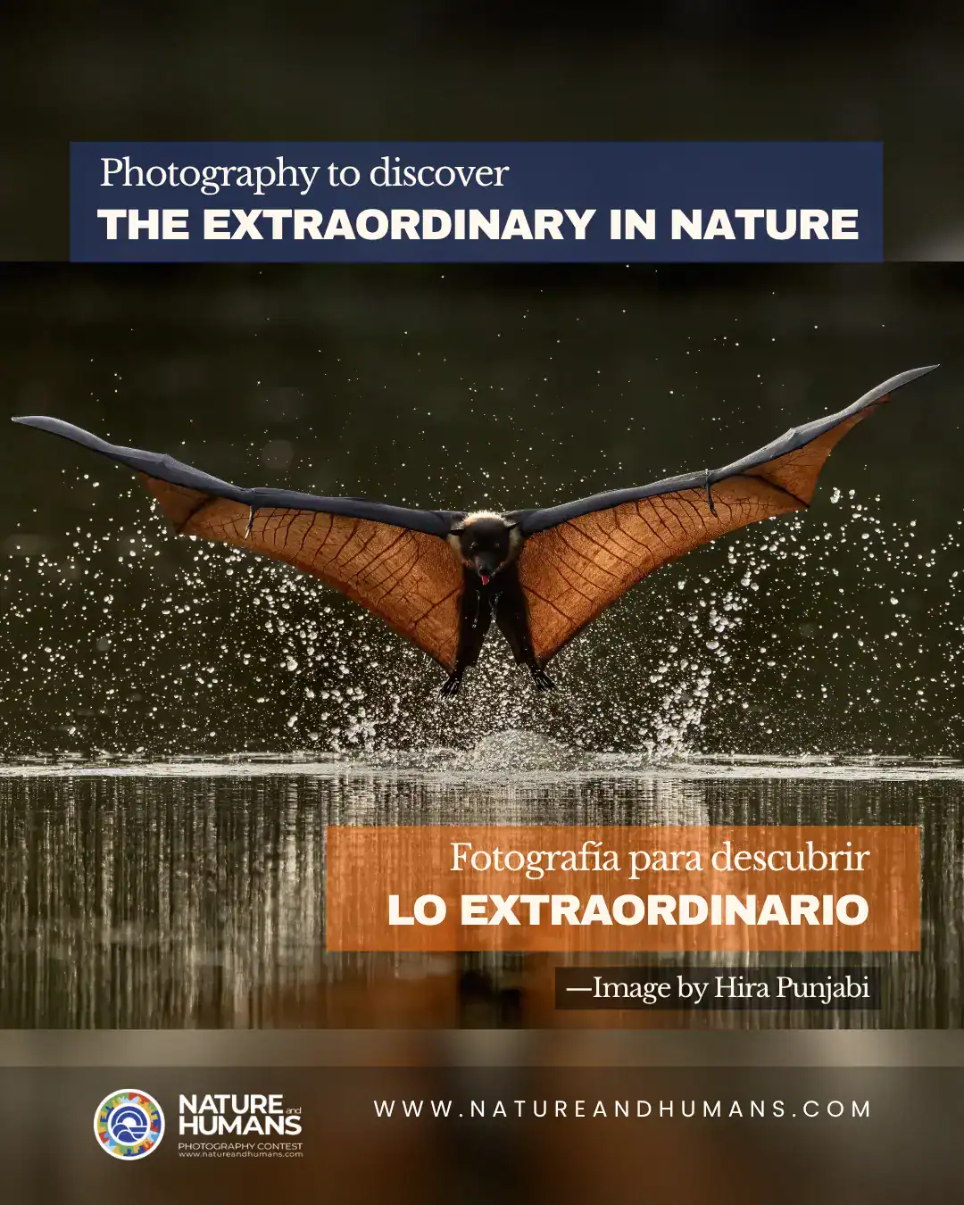 Nature and Humans, concurso internacional de fotografía